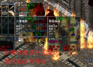 ��ο���������������ʦ��ս���ȼ���