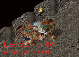 打怪升级效率低?试试这些最适合你的怪物 打怪升级效率低?试试这些最适合你的怪物