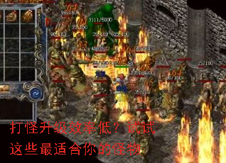 打怪升级效率低?试试这些最适合你的怪物 打怪升级效率低?试试这些最适合你的怪物