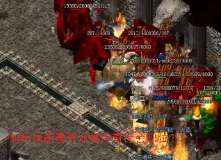 ��ο��ٽ�����ѩ�����л�ְλ��