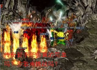 传奇新手任务真的简单吗?你敢来挑战吗? 传奇新手任务真的简单吗?你敢来挑战吗?
