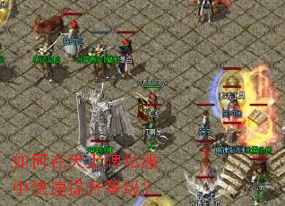 如何在天上碑私服中快速提升等级? 如何在天上碑私服中快速提升等级?