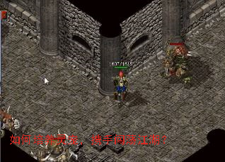 如何培养灵宠,携手闯荡江湖? 如何培养灵宠,携手闯荡江湖?