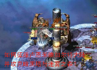 �������¬���׵¼Ӷ��ش�½�����˰�����������֮ɭ��