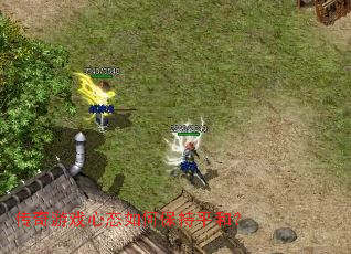 ������Ϸ��̬��α���ƽ�ͣ�