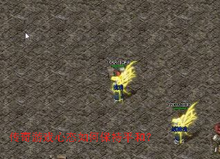 ������Ϸ��̬��α���ƽ�ͣ�