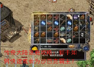 �����½��¹���ԣ�������ο��ٳɳ�Ϊɳ�Ϳ˰�����