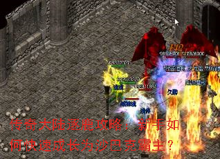 �����½��¹���ԣ�������ο��ٳɳ�Ϊɳ�Ϳ˰�����