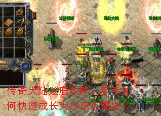 �����½��¹���ԣ�������ο��ٳɳ�Ϊɳ�Ϳ˰�����