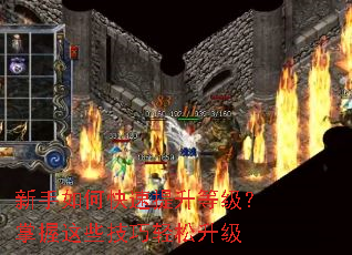 ������ο��������ȼ���������Щ������������