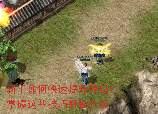 ������ο��������ȼ���������Щ������������