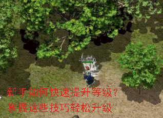 ������ο��������ȼ���������Щ������������