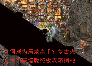 ��γ�Ϊ�������֣����Ż�������߱����ռ����Խ���