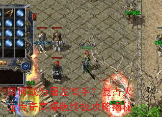 ��γ�Ϊ�������֣����Ż�������߱����ռ����Խ���