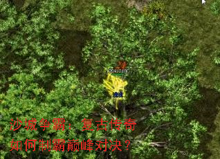 ɳ�����ԣ����Ŵ�������ư��۷�Ծ���