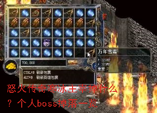 怒火传奇寒冰主宰掉什么?个人boss掉落一览 怒火传奇寒冰主宰掉什么?个人boss掉落一览