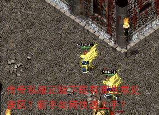 ����˽��������������Щ����������������ο������֣�