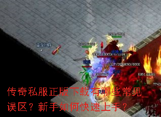 ����˽��������������Щ����������������ο������֣�