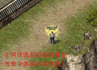 ��ο��ٻ�ȡ���鲢�ڴ�����������ɱ��У�