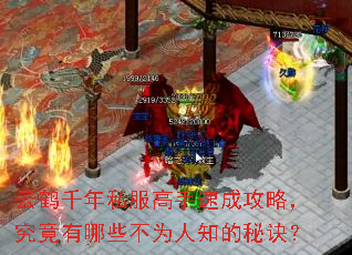 云鹤千年私服高手速成攻略,究竟有哪些不为人知的秘诀? 云鹤千年私服高手速成攻略,究竟有哪些不为人知的秘诀?