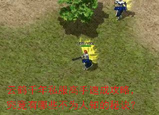 云鹤千年私服高手速成攻略,究竟有哪些不为人知的秘诀? 云鹤千年私服高手速成攻略,究竟有哪些不为人知的秘诀?