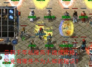 云鹤千年私服高手速成攻略,究竟有哪些不为人知的秘诀? 云鹤千年私服高手速成攻略,究竟有哪些不为人知的秘诀?