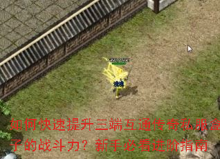 ��ο����������˻�ͨ����˽�����ӵ�ս���������ֱؿ�����ָ��