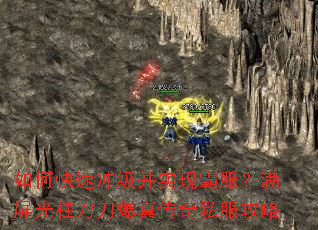 ��ο��ٳ弶��ʵ�ְԷ������������������洫��˽������