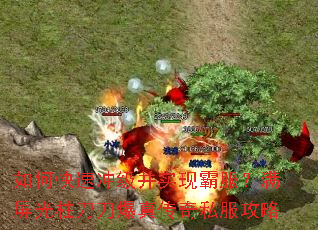 ��ο��ٳ弶��ʵ�ְԷ������������������洫��˽������