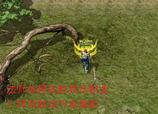 法师如何战胜其他职业?PK制胜技巧全解析 法师如何战胜其他职业?PK制胜技巧全解析