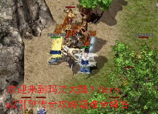 ��ӭ�����귨��½��Herom2���洫�湥������ȫ���