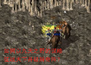 ����Ծ���֮Ұ��ı����ս���²��ƽ�����