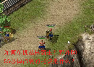 ��ε������ְ�����Ұ��BOSS�ص���װ���ؾ���ʲô��