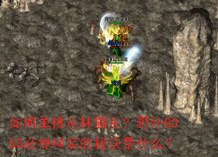 ��ε������ְ�����Ұ��BOSS�ص���װ���ؾ���ʲô��