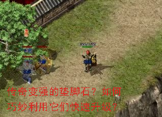 �����ǿ�ĵ��ʯ����������������ǿ���������