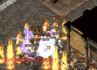 ��ο�����������ȼ���