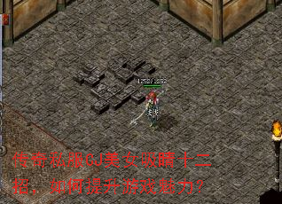 ����˽��CJ��Ů����ʮ���У����������Ϸ������