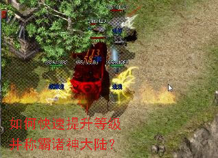 ��ο��������ȼ����ư������½��