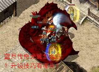 ���´��������ôѡ��������������Щ��