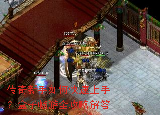 ����������ο������֣����ӳ���ȫ���Խ��