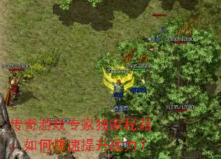 传奇游戏专家独家秘籍:如何快速提升战力? 传奇游戏专家独家秘籍:如何快速提升战力?