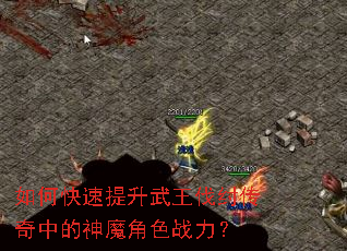 ��ο��������������������е���ħ��ɫս����