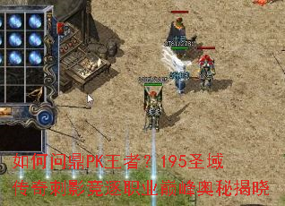 ����ʶ�PK���ߣ�195ʥ�����Ӱ����ְҵ�۷���ؽ���