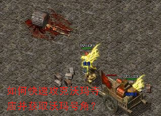 ��ο��ٹ���������������ȡ����Žǣ�