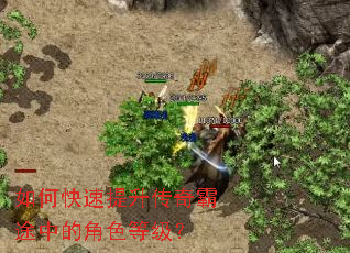 ��ο������������;�еĽ�ɫ�ȼ���