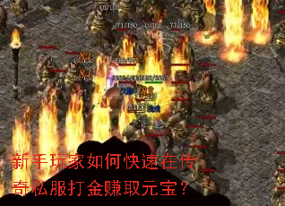 ���������ο����ڴ���˽�����׬ȡԪ����