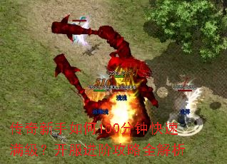 �����������100���ӿ����������������׹���ȫ����