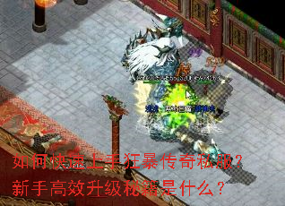 ��ο������ֿ񱩴���˽�������ָ�Ч�����ؼ���ʲô��