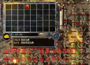 ��ο������ֿ񱩴���˽�������ָ�Ч�����ؼ���ʲô��