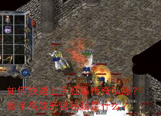 ��ο������ֿ񱩴���˽�������ָ�Ч�����ؼ���ʲô��